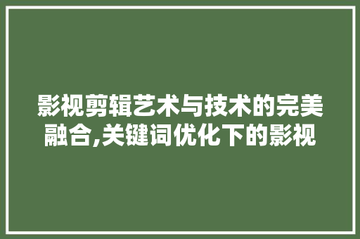 影视剪辑艺术与技术的完美融合,关键词优化下的影视剪辑素材运用