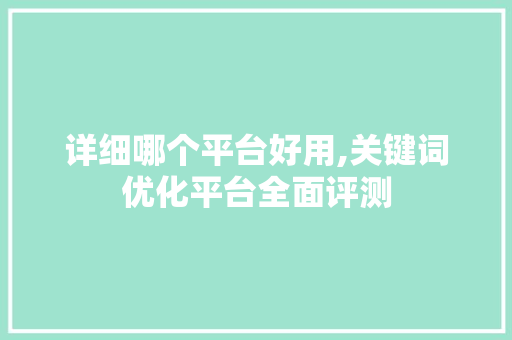 详细哪个平台好用,关键词优化平台全面评测