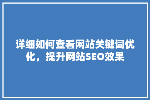 详细如何查看网站关键词优化，提升网站SEO效果