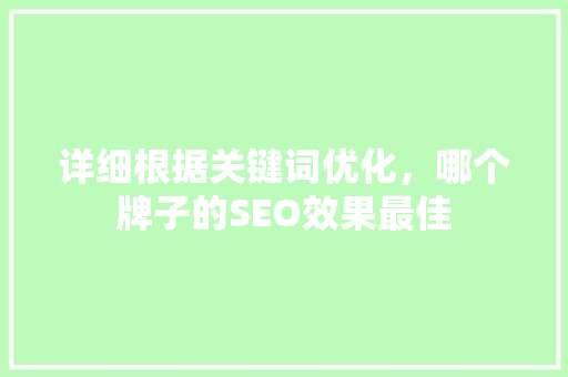 详细根据关键词优化，哪个牌子的SEO效果最佳