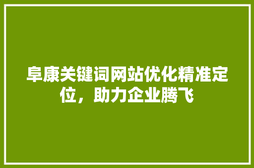 阜康关键词网站优化精准定位，助力企业腾飞