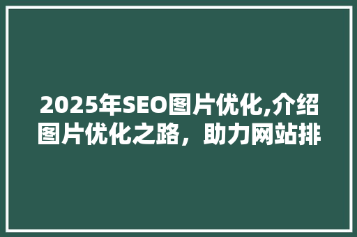 2025年SEO图片优化,介绍图片优化之路，助力网站排名提升
