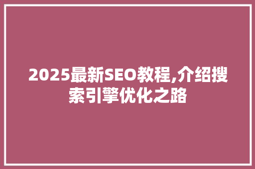 2025最新SEO教程,介绍搜索引擎优化之路