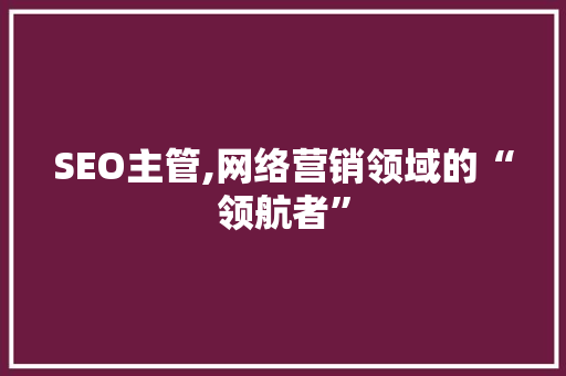 SEO主管,网络营销领域的“领航者”