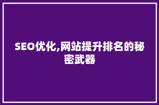 SEO优化,网站提升排名的秘密武器