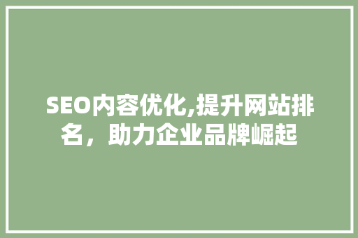 SEO内容优化,提升网站排名，助力企业品牌崛起