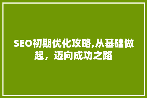 SEO初期优化攻略,从基础做起，迈向成功之路