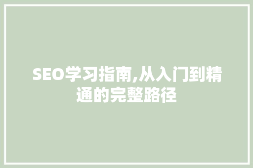 SEO学习指南,从入门到精通的完整路径