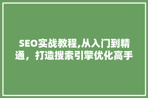 SEO实战教程,从入门到精通，打造搜索引擎优化高手
