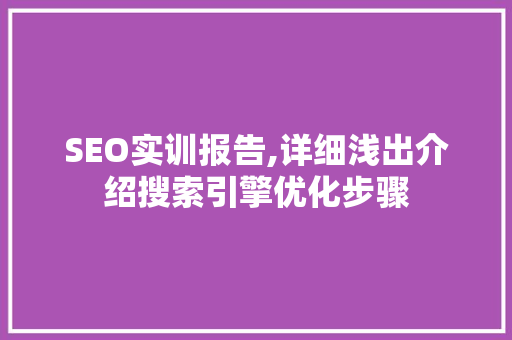 SEO实训报告,详细浅出介绍搜索引擎优化步骤