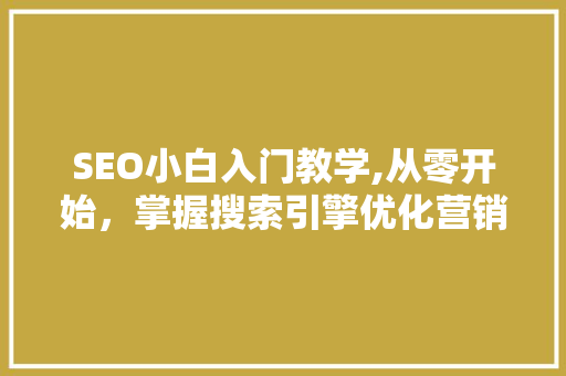 SEO小白入门教学,从零开始，掌握搜索引擎优化营销之路