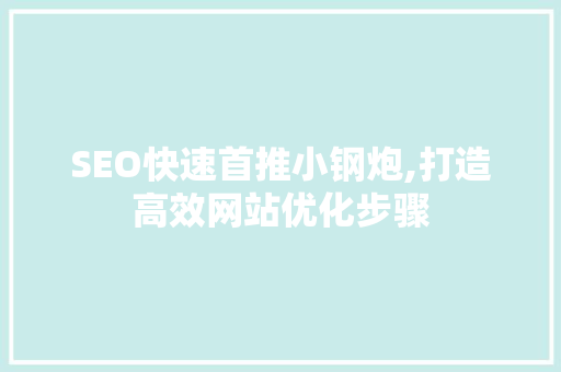 SEO快速首推小钢炮,打造高效网站优化步骤