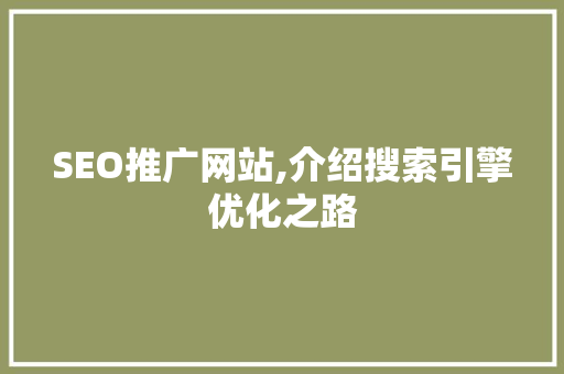 SEO推广网站,介绍搜索引擎优化之路