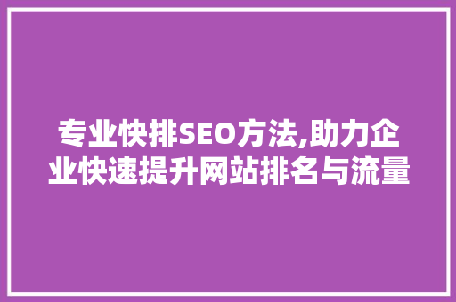 专业快排SEO方法,助力企业快速提升网站排名与流量
