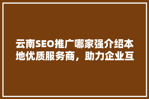 云南SEO推广哪家强介绍本地优质服务商，助力企业互联网营销
