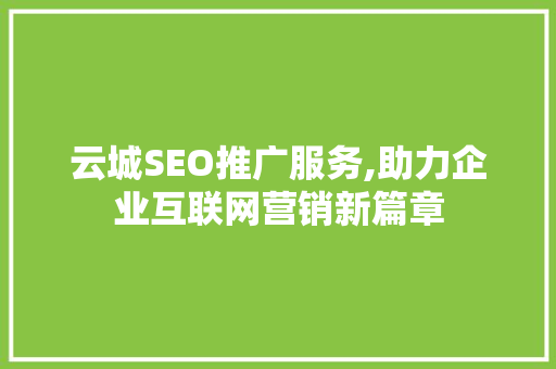 云城SEO推广服务,助力企业互联网营销新篇章