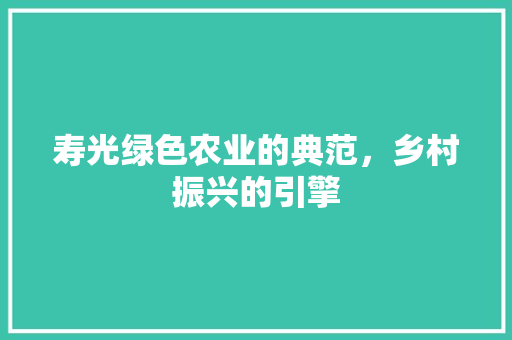 寿光绿色农业的典范，乡村振兴的引擎