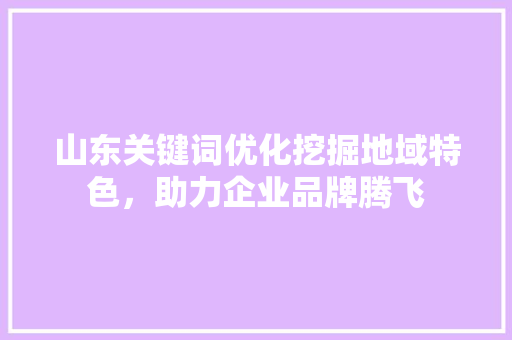 山东关键词优化挖掘地域特色，助力企业品牌腾飞
