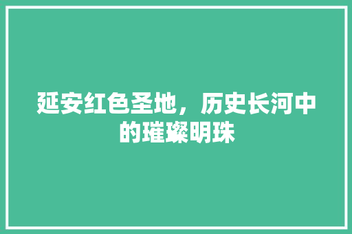 延安红色圣地，历史长河中的璀璨明珠