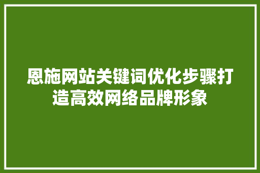 恩施网站关键词优化步骤打造高效网络品牌形象