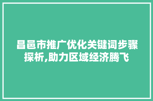 昌邑市推广优化关键词步骤探析,助力区域经济腾飞