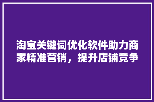 淘宝关键词优化软件助力商家精准营销，提升店铺竞争力