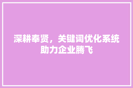 深耕奉贤，关键词优化系统助力企业腾飞