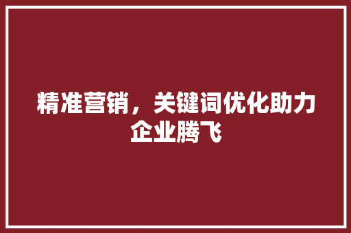 精准营销，关键词优化助力企业腾飞