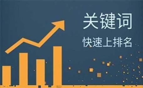 SEO优化免费软件有哪些「百度seo网站优化 网络服务」