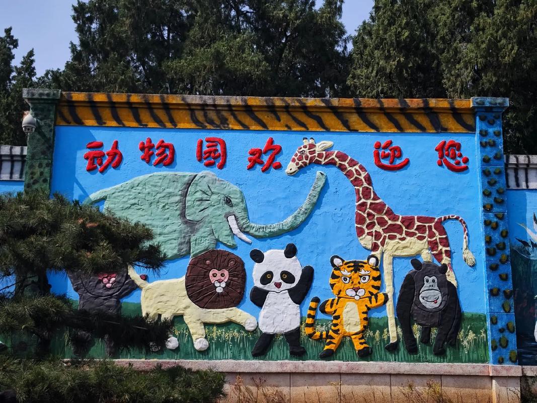 优化关键词需要怎么做?大家有什么建议「济南百度整站优化服务」