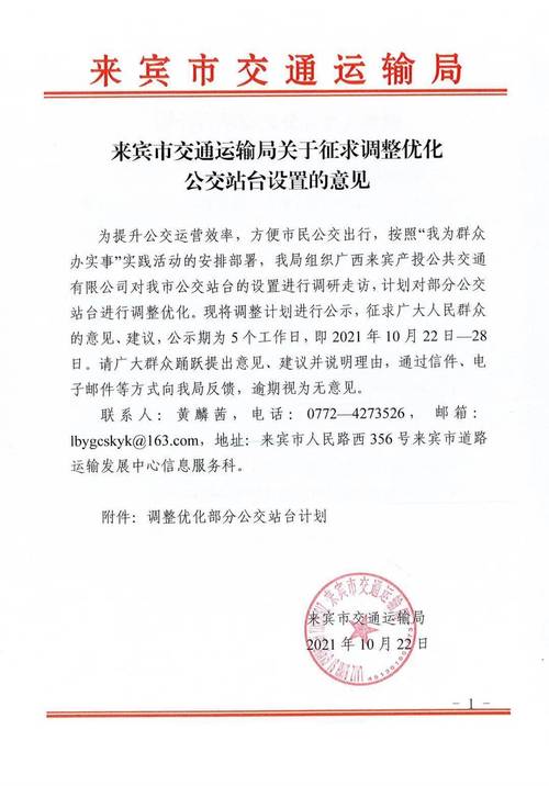 来宾十大镇排名「来宾网站优化公司」
