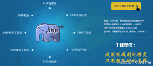 北京php工程师雇用技巧_只招35岁以上轨范员公司CEO轨范员可以越老越值钱