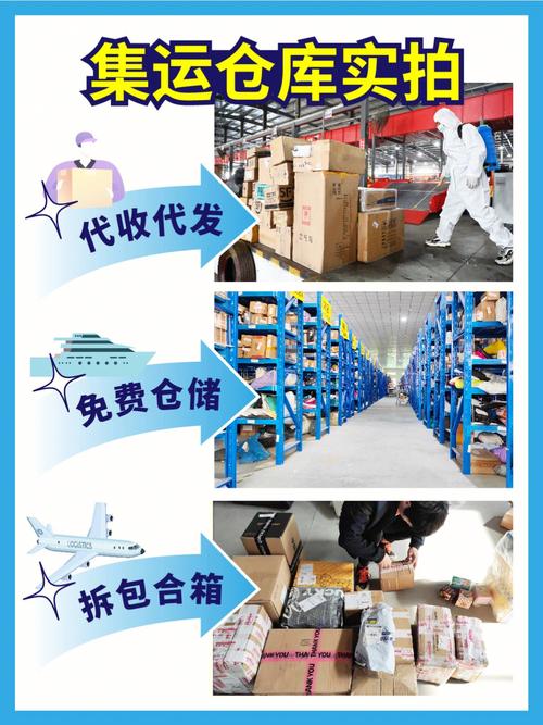 php集运法式技巧_甲壳虫跨境电商集货集运治理系统海淘转运公司的福音
