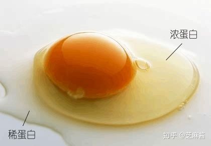 php卵白技巧_光引导蛋白蛋白同源互相浸染光遗传学对象在光激活旗子暗记通路中的应用