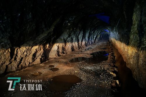 贺年php源码技巧_春节怕什么轨范猿过年回家最怕被问的10个问题|钛媒体影像在线
