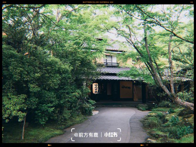 下关PHP培训技巧_想在最美好的樱花季碰见你披霜冒露游九州下关福冈黑川温泉熊本鹿儿岛指宿