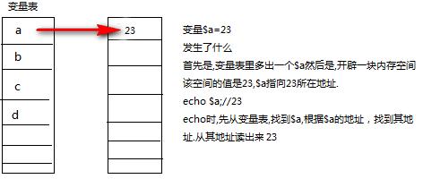php函数做变量技巧_PHP 变量