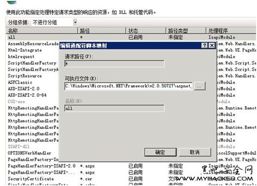 php静态资本映射技巧_windowsiis脚本映射办法实现伪静态包括aspnet