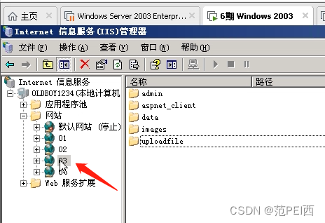php注入上传组件技巧_sql注入文件上传文件包含