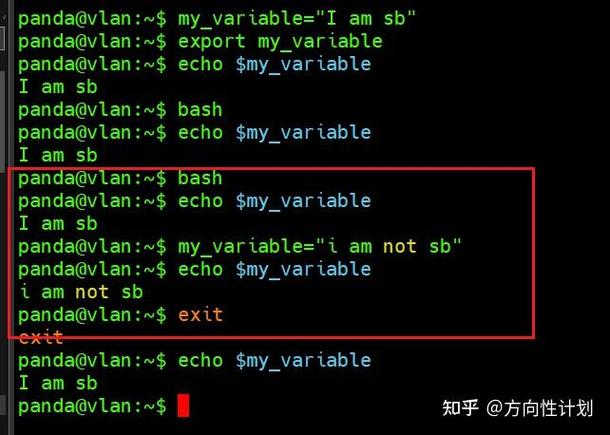 php输出echo变量技巧_Shell echo敕令