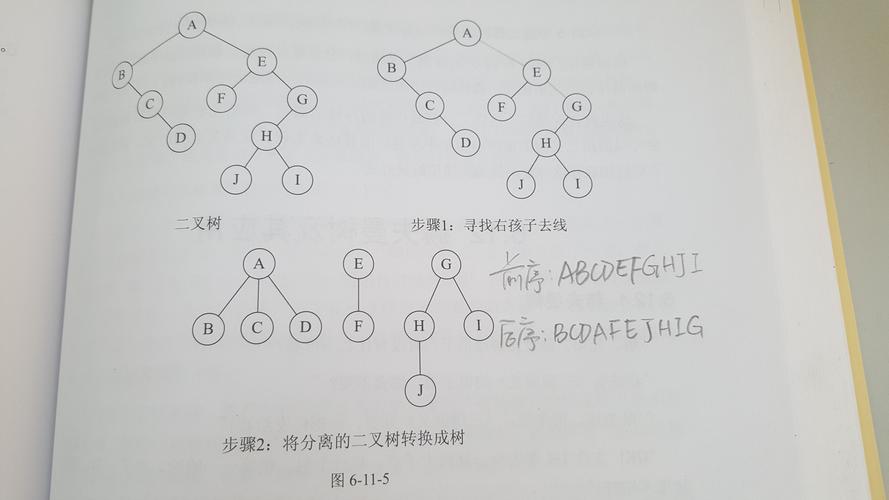 php权限树类技巧_PHP面试说说你理解的二叉树吧