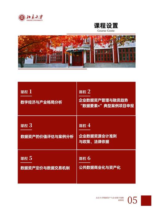 域名,数字时代的“土地”,介绍网站域名的奥秘